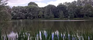 promenons-nous-may-sur-evre_1