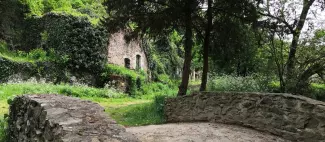 ruines-courosse-la-chapelle-saint-florent-MSL-9©C.Boisnault