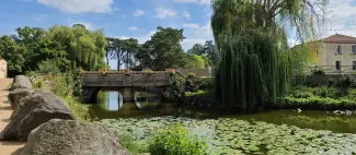 Promenons-nous à Somloire : bords de l'Ouère_1