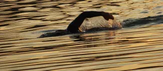 swimmer-3951545_1280