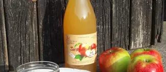 verger-de-la-courtiere-le-lion-dangers-49-deg-photo4