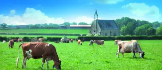 Visite de la Maison Gaborit_1