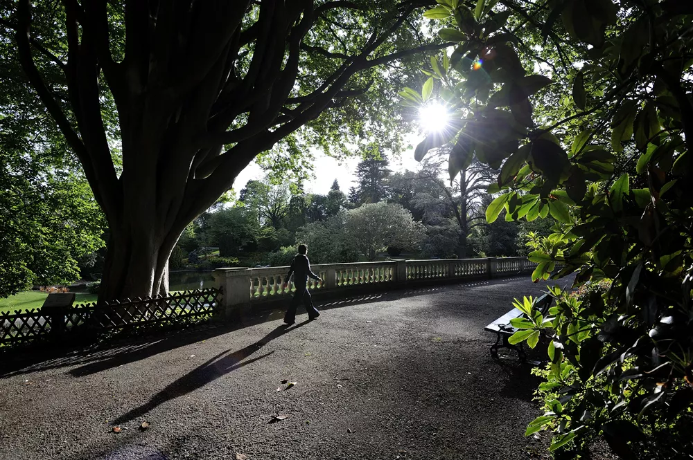 Angers. Une exposition en plein air au Jardin des plantes