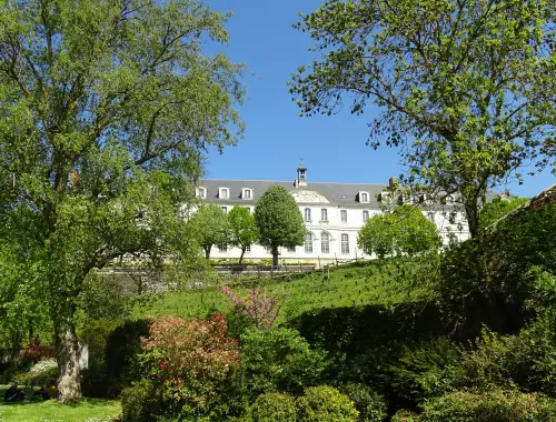 Angers, côté vigne