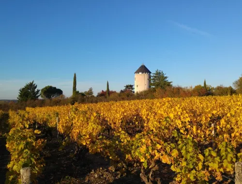 Week-end insolite dans le vignoble de l'Anjou