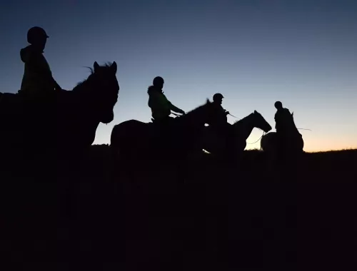 Balade à cheval au Clair de Lune