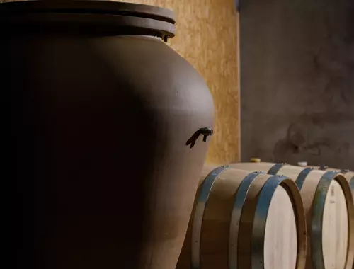 Vignobles en Scène - brunch vigneron