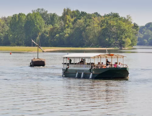 Loire Odyssée : Balades en Loire