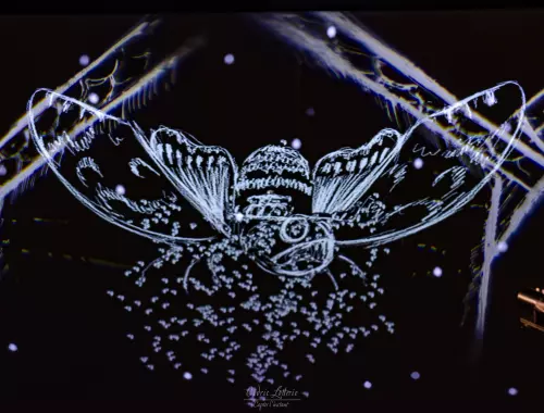 Conte musical et arts visuels "L'étoile de philomène" - Compagnie Six Monstres