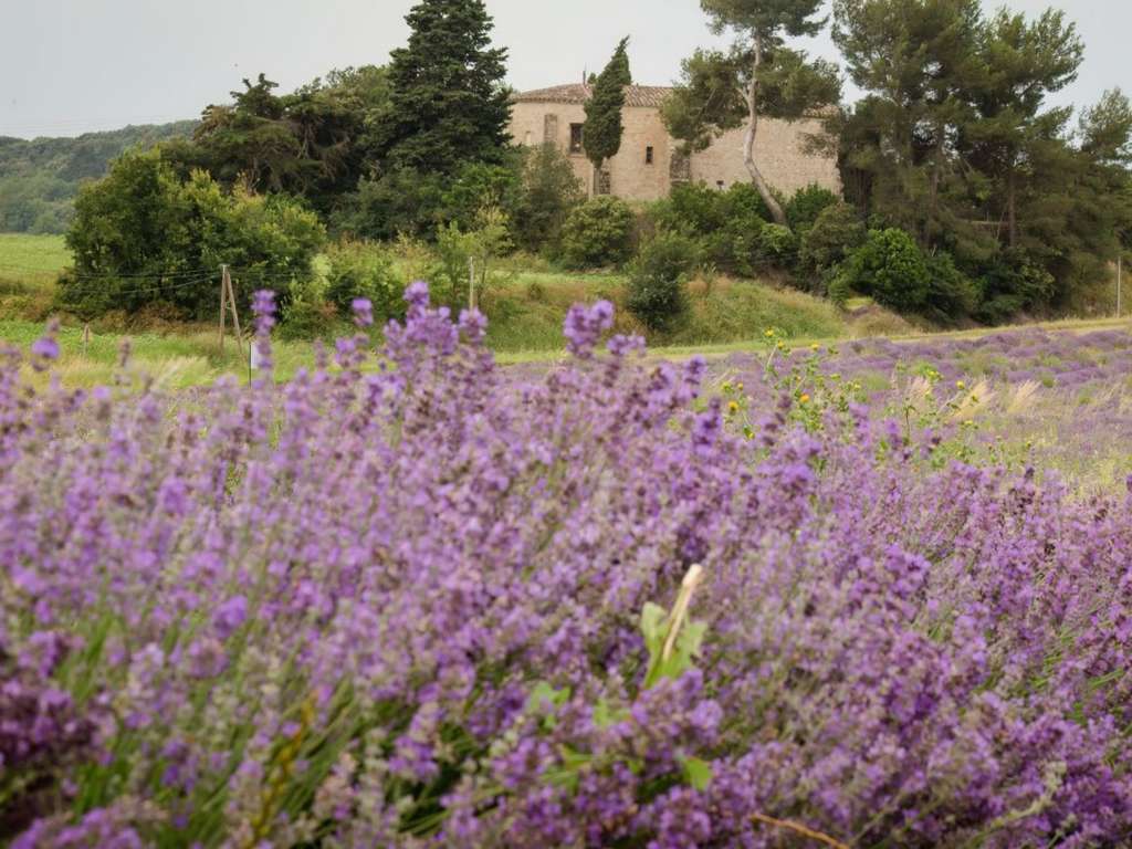 les Collines de Besplas