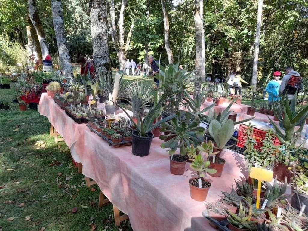 festival des plantes - Fontiers-Cabardès