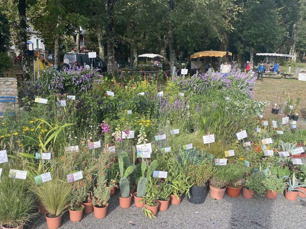 festival des plantes - Fontiers-Cabardès