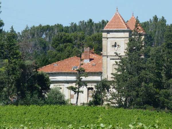 CHATEAU ARDOLOU