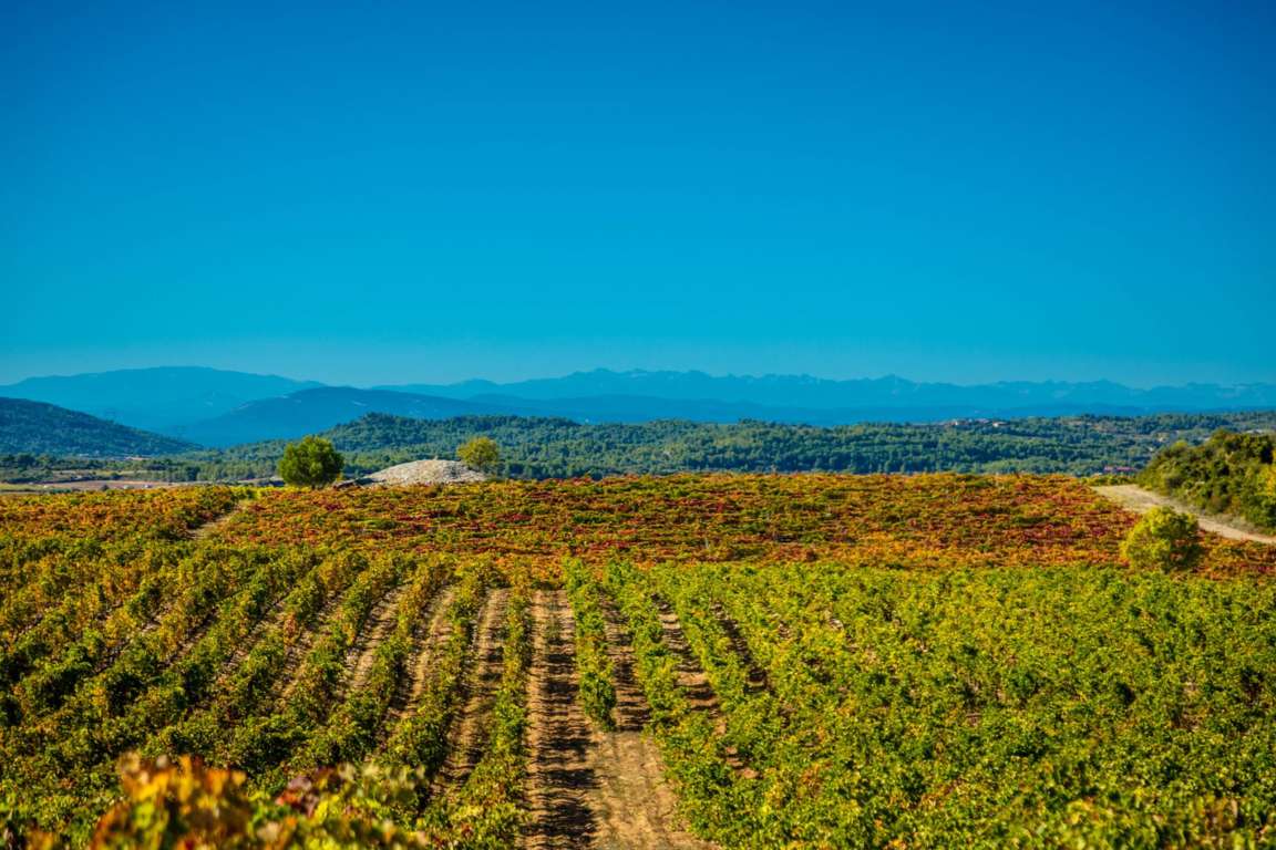 Chateau Cabezac-Bize Minervois