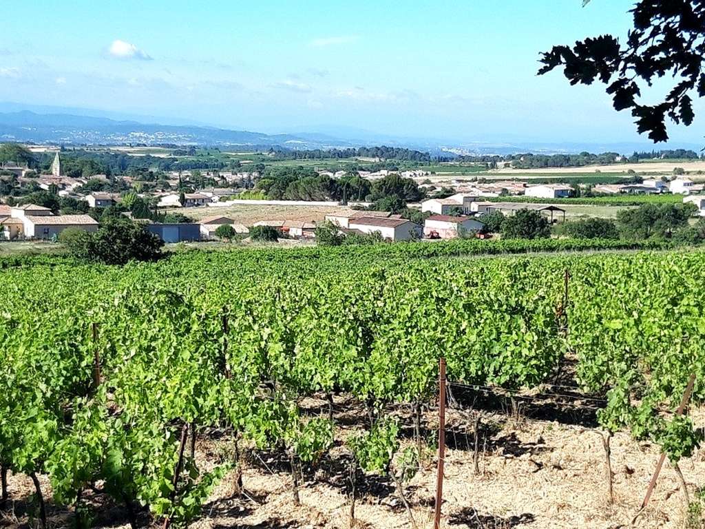 DOMAINE LES MAILLOLS