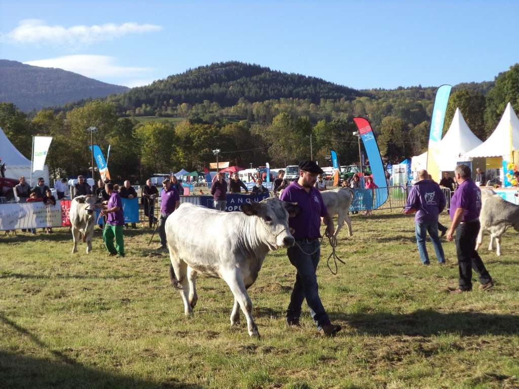 FOIRE ESPEZEL