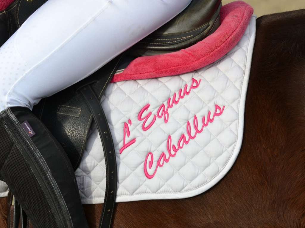 EQUUS-CABALLUS-3