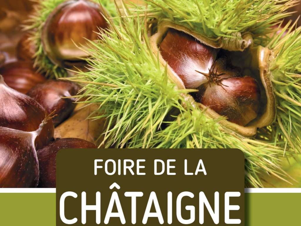 FLYERS_CHATAIGNE22_page-0001