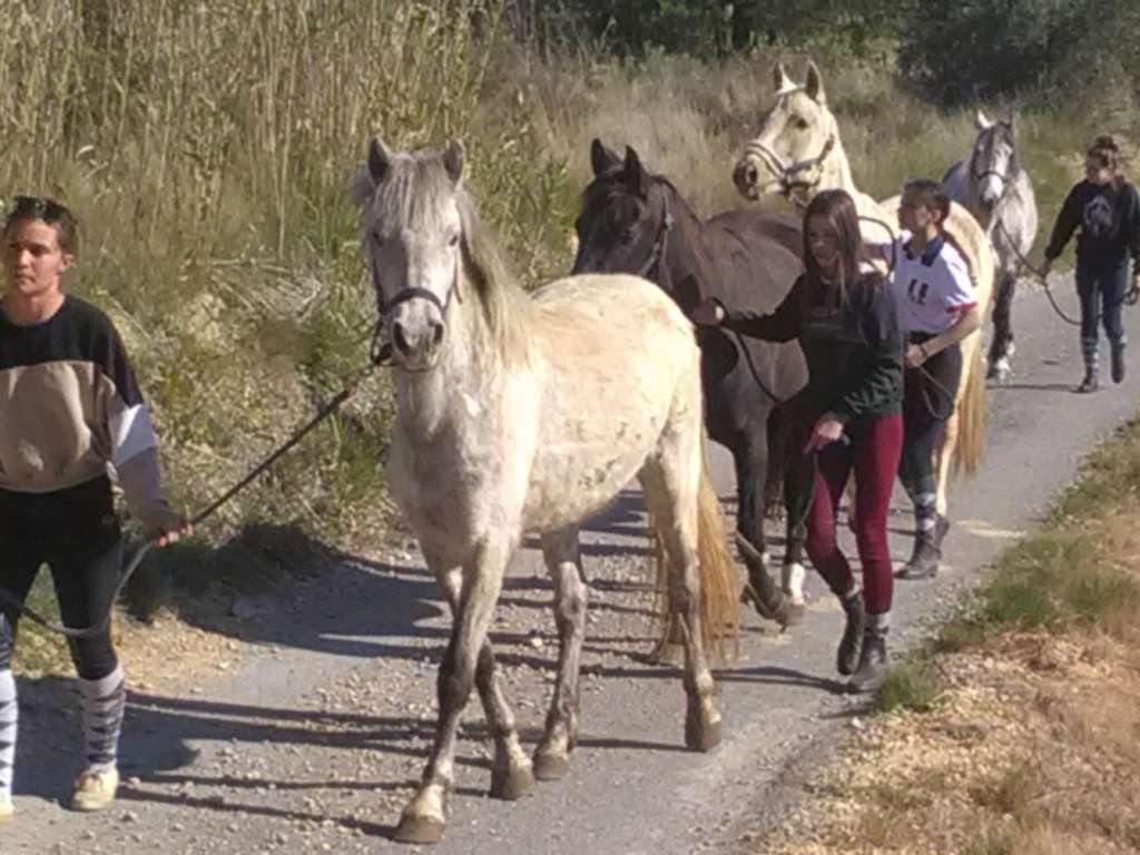 LA FOUNT DEL BOSC