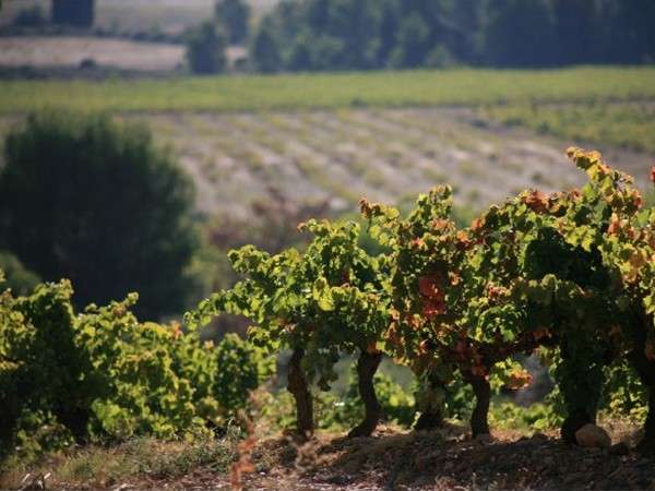 CHATEAU LA VOULTE GASPARETS