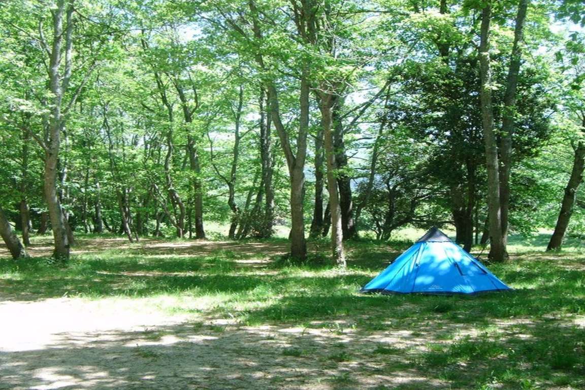 LAVALDIEU Camping Emplacements