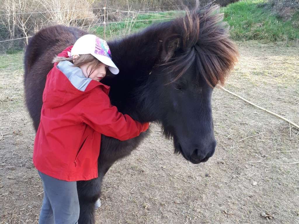 CHEVAUX AU VENT