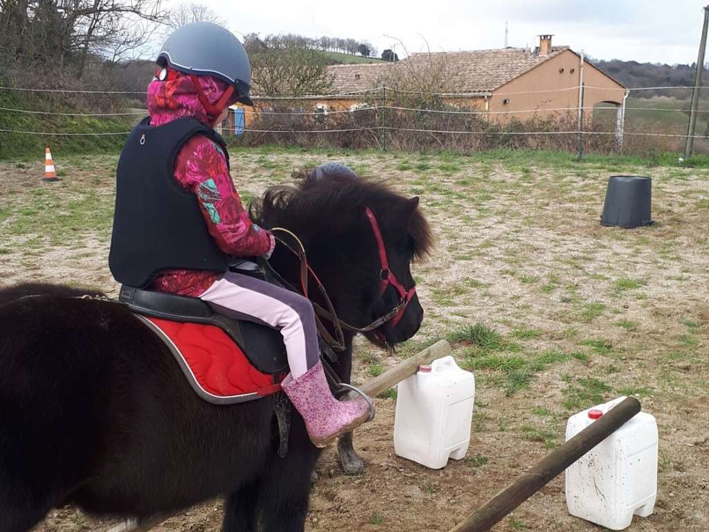 CHEVAUX AU VENT