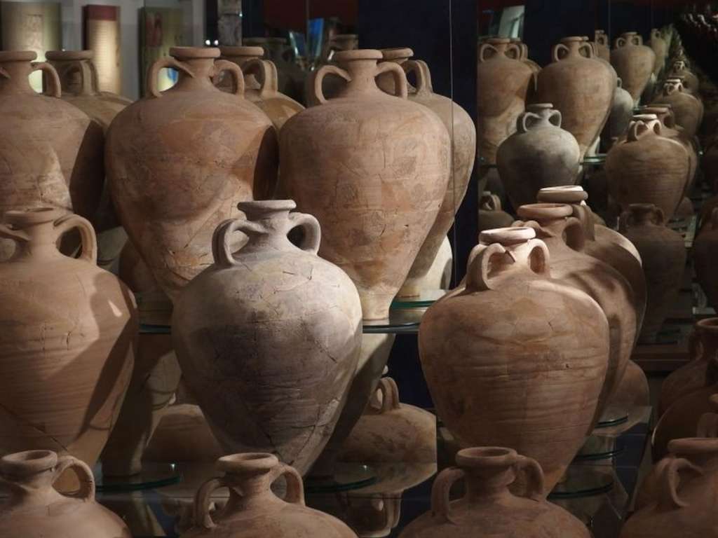 Amphoralis