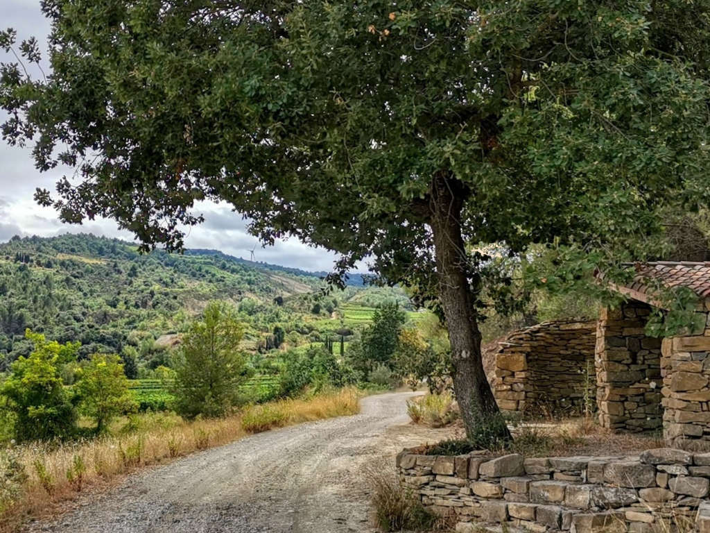 chemin cabanes 