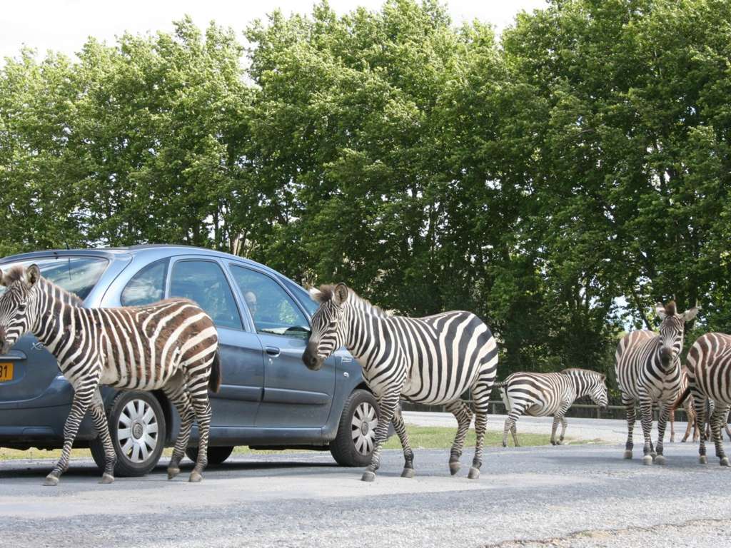 RESERVE AFRICAINE DE SIGEAN