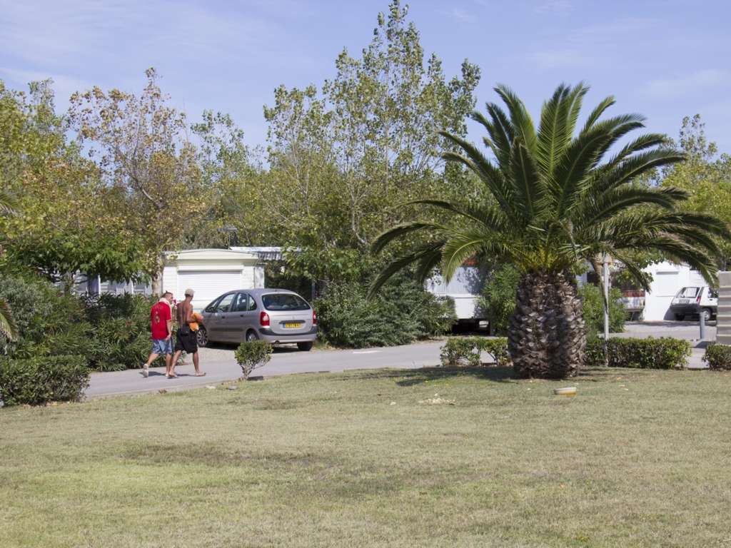 CAMPING MUNICIPAL DE PISSEVACHES