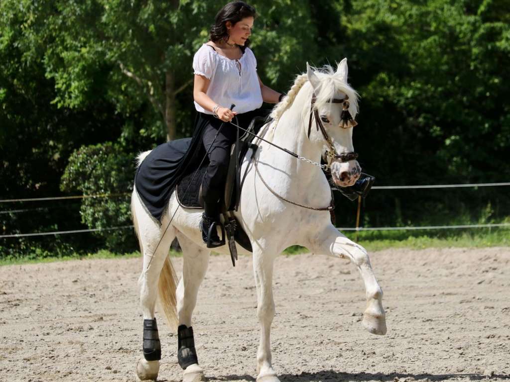 L'ÉTRIER DU LAURAGAIS 