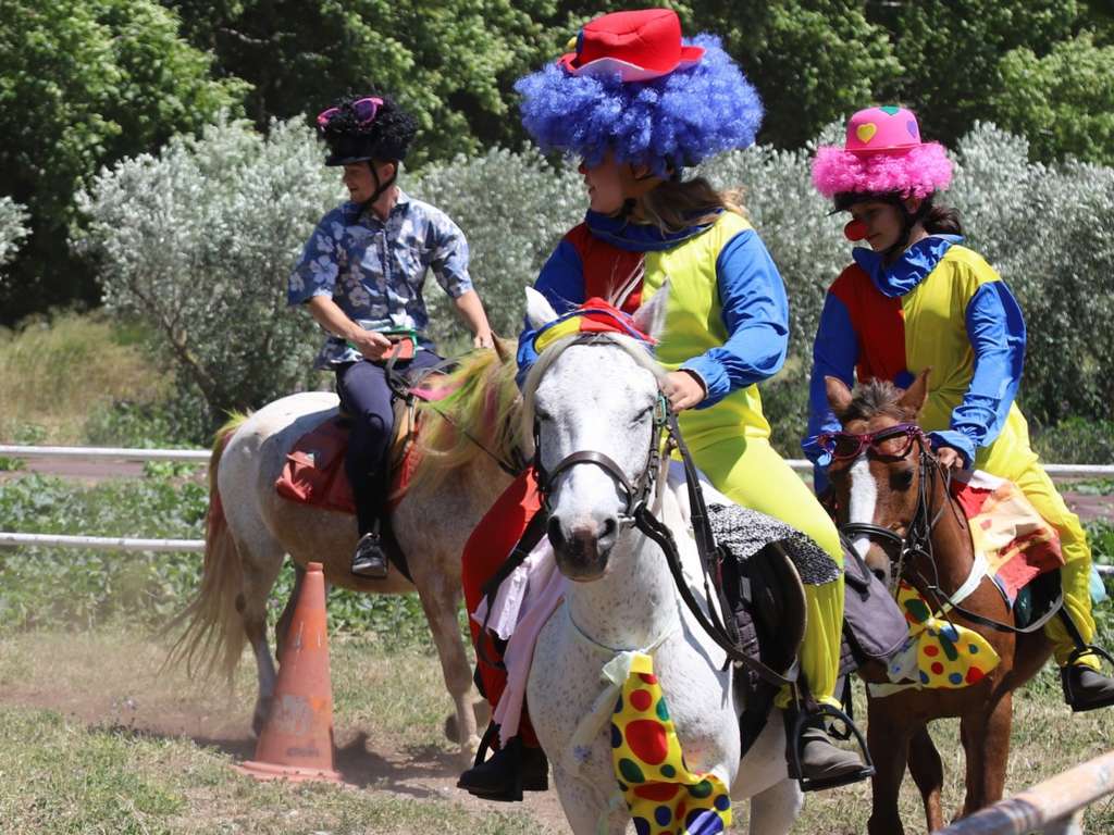 FERME EQUESTRE DE MIREPEISSET