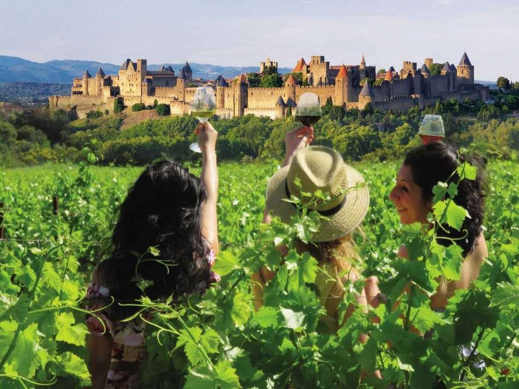 BALADES VIGNERONNES EN GRAND CARCASSONNE