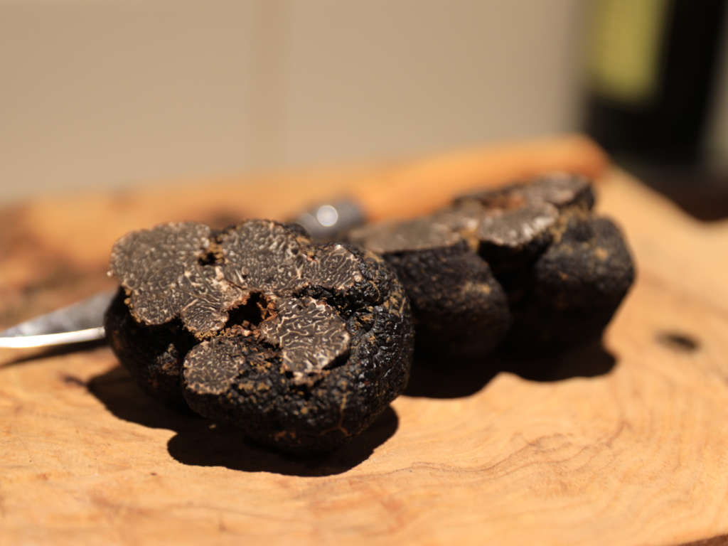 Truffes fraiches