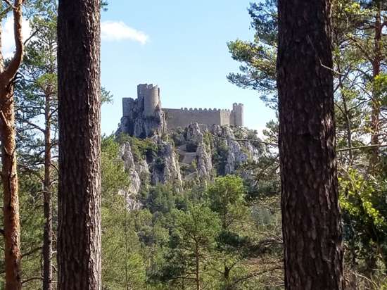 CHÂTEAU DE PUILAURENS - SERRE DES AIGUILLES