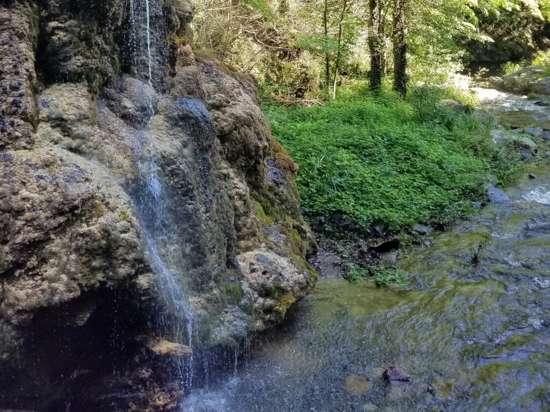 Sentier de la cascade 2