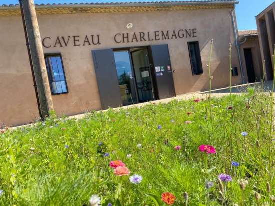 Carcassonne Caveau Charlemagne 2