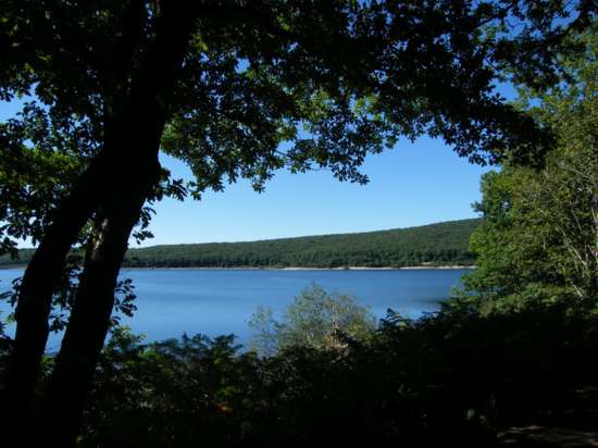 Entre forêt et tourbière - Lac Laprade © Christine Truc