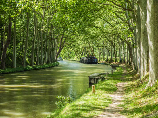 Le Canal du Midi