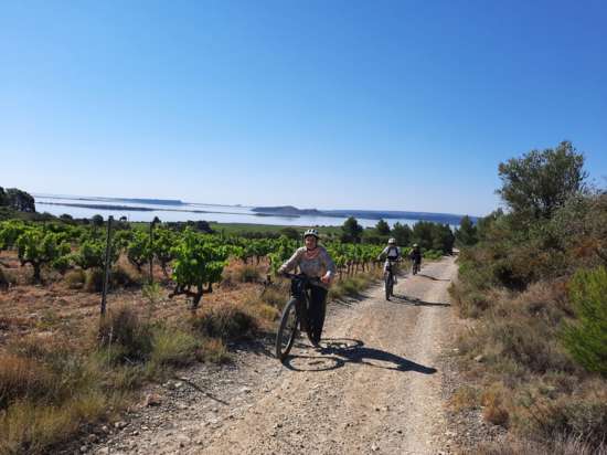 FASCINANT WEEK-END - BALADE E-VTT AVEC HUGO ET DEGUSTATION AU CHÂTEAU FABRE CORDON