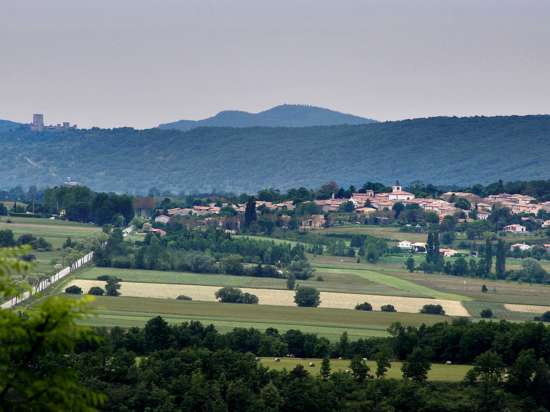 LE SENTIER DU LABYRINTHE VERT