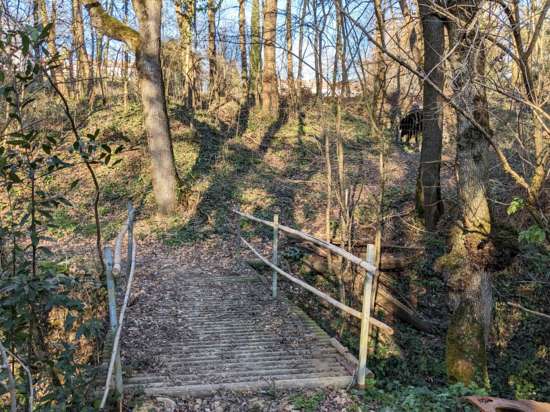 Bois proche du château de la Pomarède