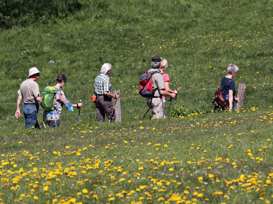 FETE DE LA RANDONNEE PÉDESTRE