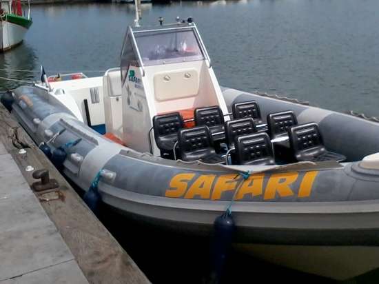 Safari-marine-1-2