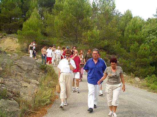 Tourouzelle Sentier La Pinède de la Bade et Pierre Sèche Les Marcheurs