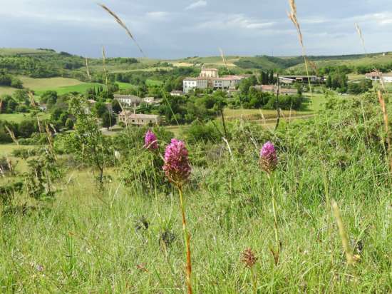 Vue sur le village depuis le Pech de Bousquet