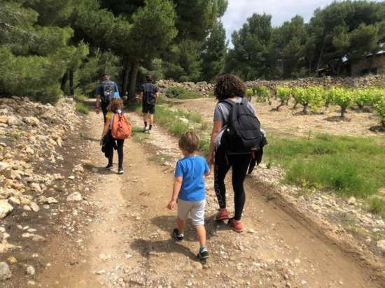 LE SENTIER DU VIGNERON