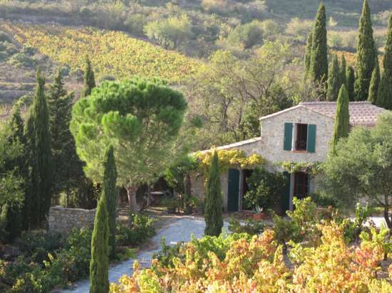 GITE AU MILIEU DES VIGNES