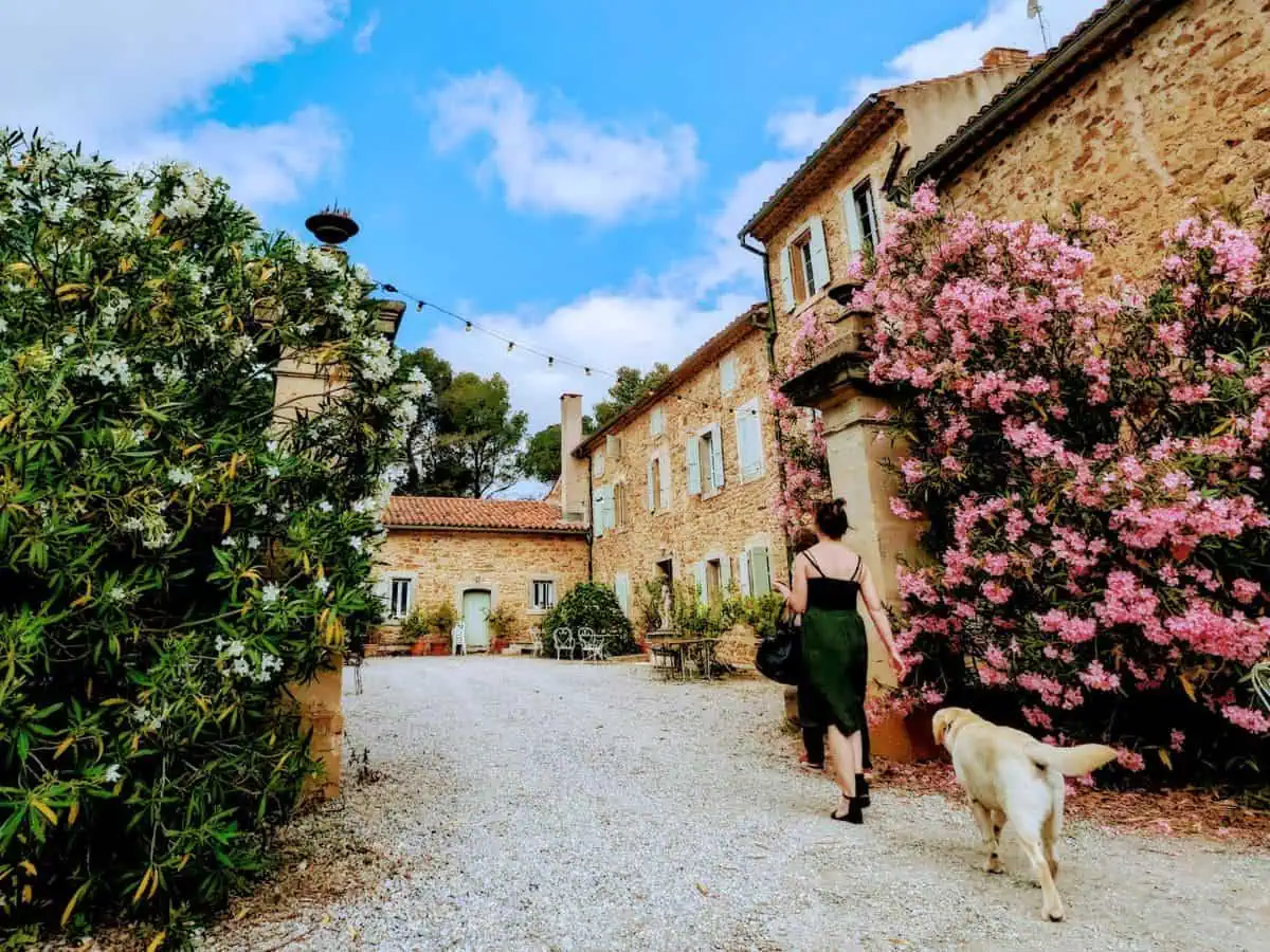 ©Marion Féret OTICM